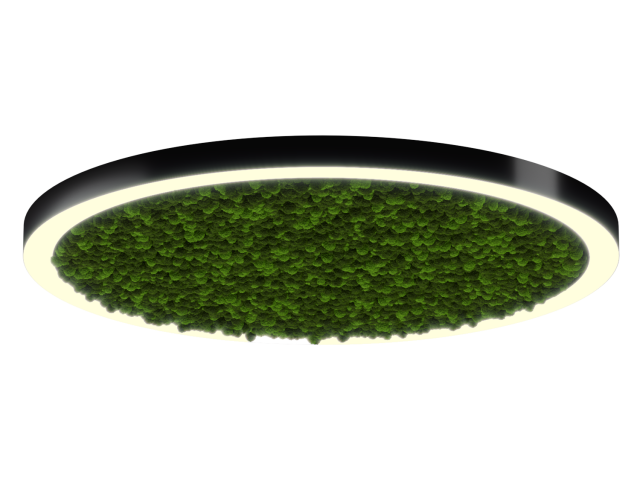 Светильник HOKASU Halo Moss (RAL9005/D1400/LT70 — 3K/132W/120deg) фото:1