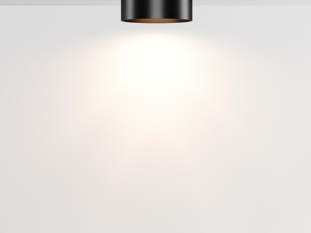 Трековый светильник Technical TR189-1-12W3K-B фото:3