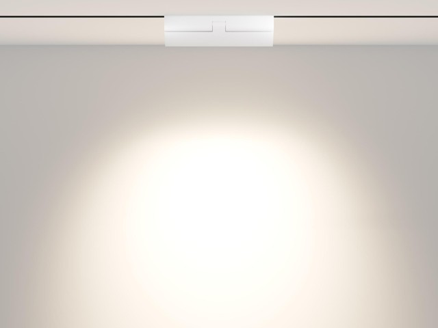 Трековый светильник Technical TR033-2-12W4K-W фото:5