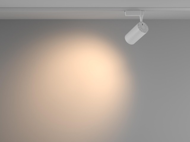 Трековый светильник Technical TR003-1-36W3K-W-W фото:5