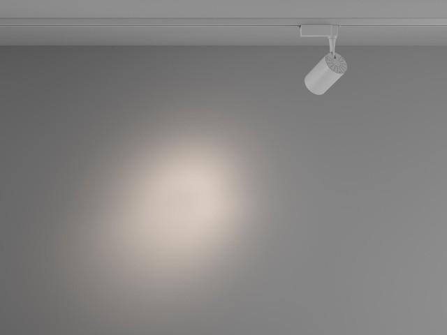 Трековый светильник Technical TR003-1-10W4K-S-W фото:7