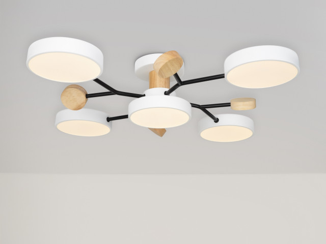 Потолочный светильник Freya FR6119CL-L60W фото:3