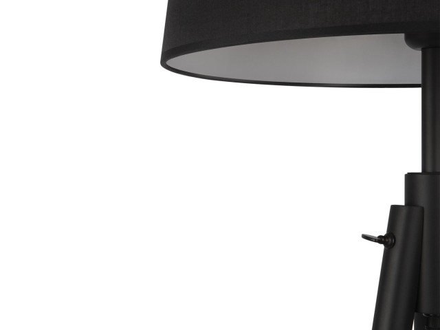 Напольный светильник (торшер) Maytoni Z177FL-01B фото:7