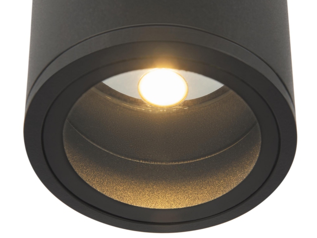 Потолочный светильник Outdoor O306CL-L12GF фото:12
