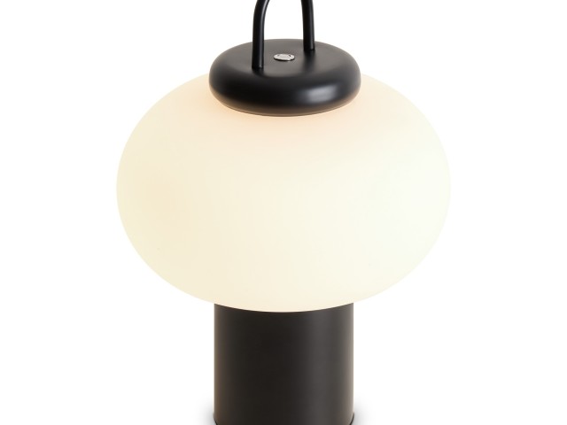 Настольный светильник Freya FR6175TL-L10B фото:3