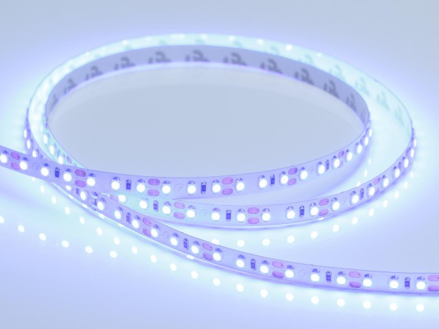 Лента RT 2-5000 12V Blue 2x (3528, 600 LED, LUX) (Arlight, 9.6 Вт/м, IP20) фото:9