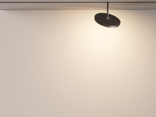 Трековый светильник Technical TR131-2-15W3K-B фото:12