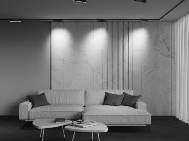 Трековый светильник Technical TR242-2-12W4K-B фото:3