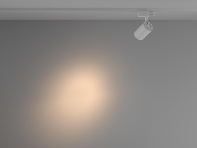 Трековый светильник Technical TR029-3-10W3K-S-W фото:12