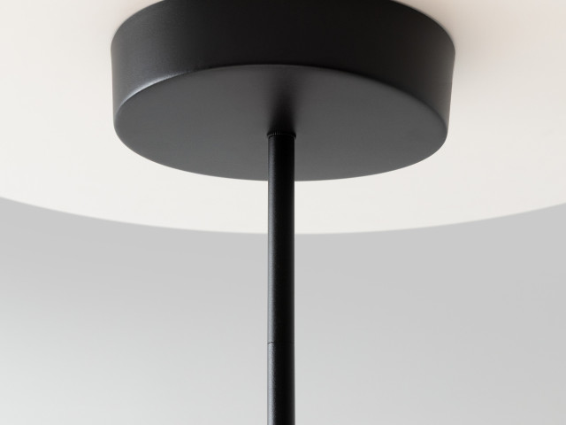 Подвесной светильник Maytoni MOD428PL-L20BK фото:11