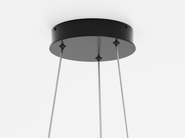 Подвесной светильник Maytoni MOD058PL-L42BK фото:6