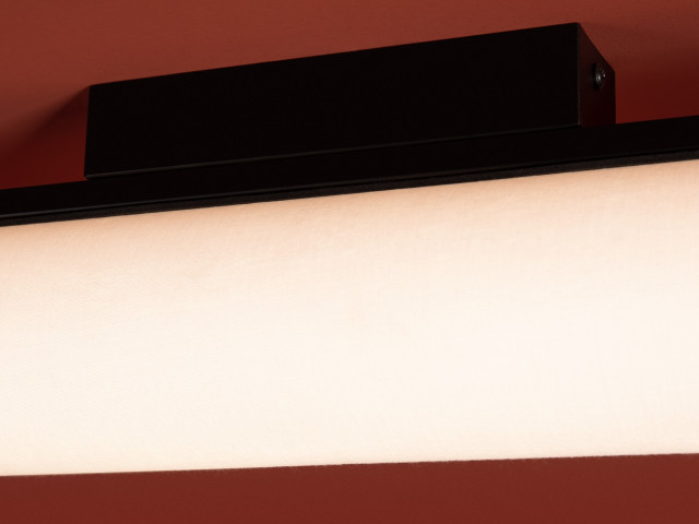 Потолочный светильник Freya FR5625CL-L20B фото:10
