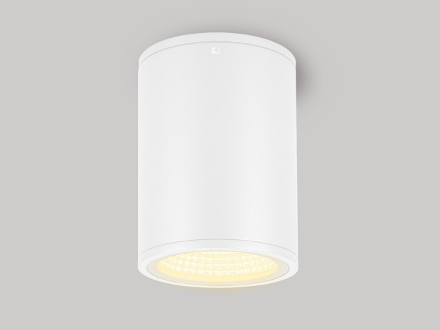 Светильник LGD-FORMA-SURFACE-R90-12W Warm3000 (WH, 44 deg, 230V) (Arlight, IP54 Металл, 3 года) фото:8