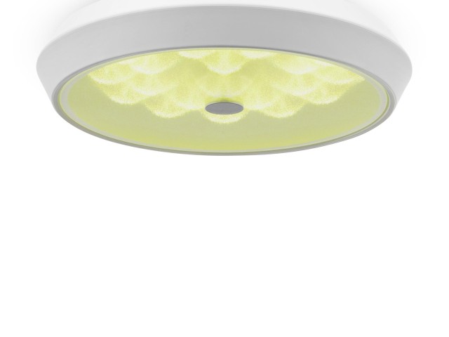 Потолочный светильник Freya FR10012CL-L24W фото:8