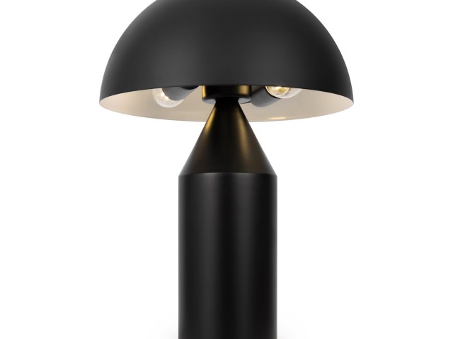 Настольный светильник Freya FR5218TL-02B1 фото:6