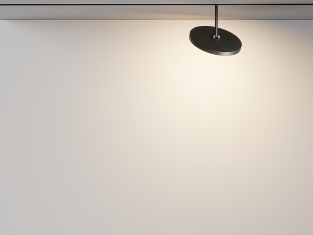 Трековый светильник Technical TR131-2-15W3K-B фото:5