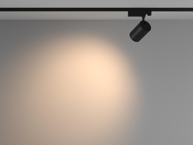 Трековый светильник Technical TR029-3-20W3K-W-B фото:4