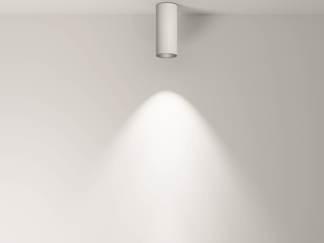 Потолочный светильник Technical C056CL-L12W3K-W-W фото:10