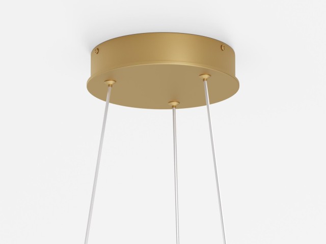 Подвесной светильник Maytoni MOD058PL-L54BSK фото:6