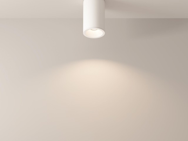 Потолочный светильник Technical C029CL-01-S-W фото:4