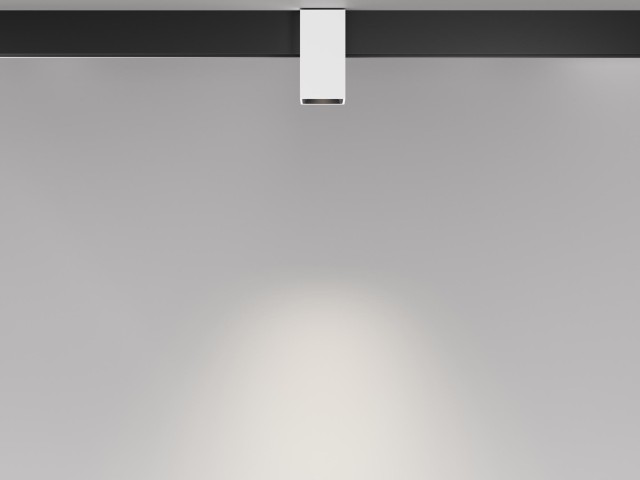 Трековый светильник Technical TR121-2-7W4K-W фото:5