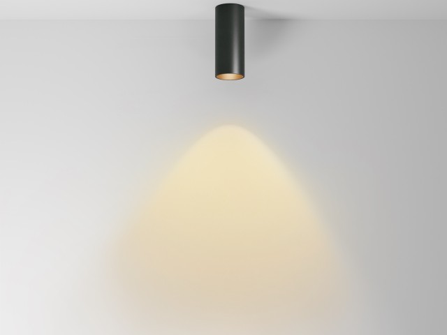Потолочный светильник Technical C056CL-L12B2.7K-W-B фото:1