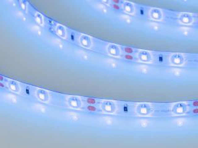 Лента RTW 2-5000SE 12V Blue (3528, 300 LED, LUX) (Arlight, 4.8 Вт/м, IP65) фото:2