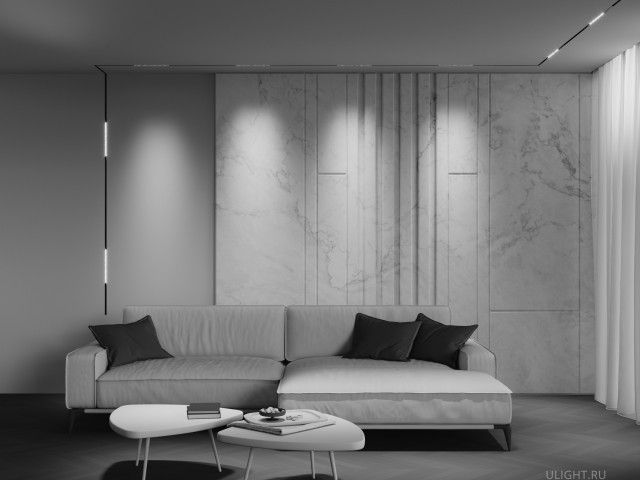 Трековый светильник Technical TR241-4-12WTW-DSZ-B фото:1