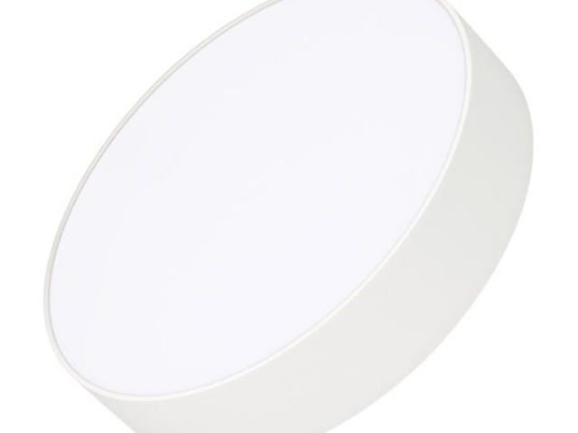Светильник IM-RONDO-EMERGENCY-3H-R250-33W Warm3000 (WH, 120 deg, 230V) (Arlight, IP40 Металл, 2 года) фото:5