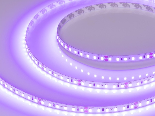 Лента RT-A120-8mm 24V Violet (9.6 W/m, IP20, 2835, 5m) (Arlight, -) фото:3
