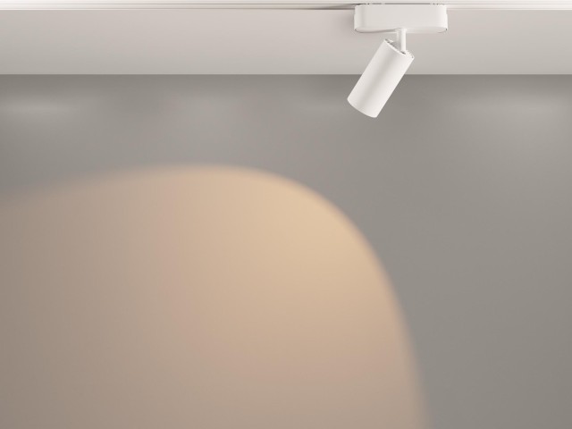 Трековый светильник Technical TR103-1-12W3K-M-W фото:14