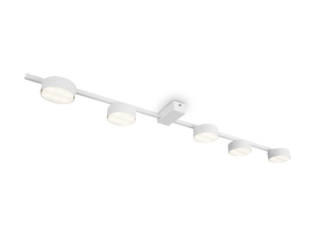 Потолочный светильник Freya FR5363CL-05W фото:6