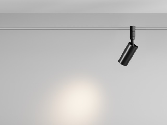 Трековый светильник Technical TR201-1-10W3K-M-B фото:44