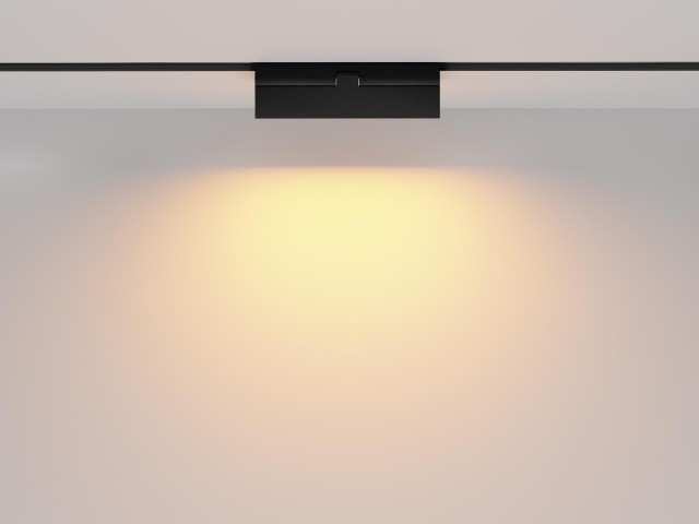 Трековый светильник Technical TR036-2-12W2.7K-B фото:3