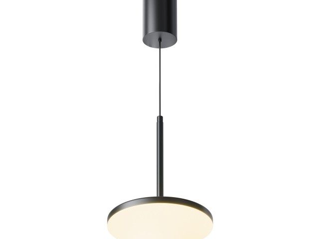 Подвесной светильник Technical P076PL-L12W3K-B фото:8