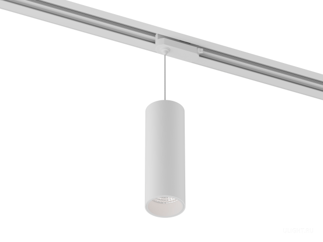 Подвесной трековый светильник HOKASU Tube Hang TR2 (55-120/ral9003 – 10w/2790/23deg) фото:1