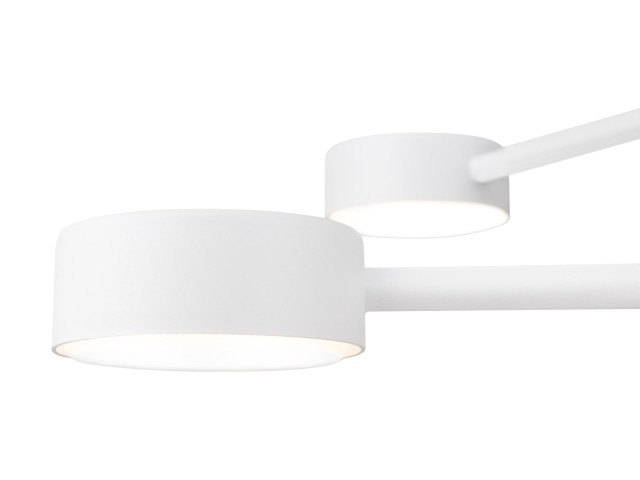 Потолочный светильник Freya FR5363CL-04W фото:3