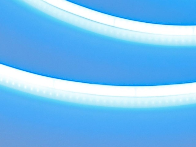Лента COB-X480-4mm 24V Blue (4 W/m, IP20, 5m) (Arlight, -) фото:2