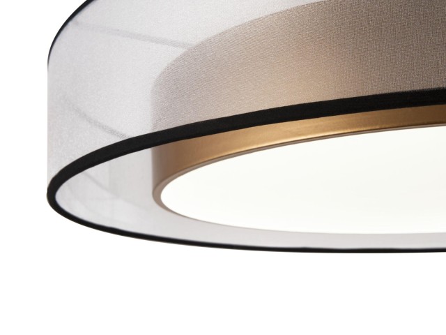 Потолочный светильник Freya FR6005CL-L48G фото:4