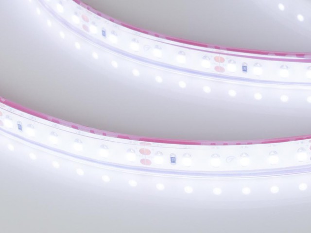 Лента RTW 2-5000PGS 24V Cool 2x (3528, 600 LED, LUX) (Arlight, 9.6 Вт/м, IP67) фото:6