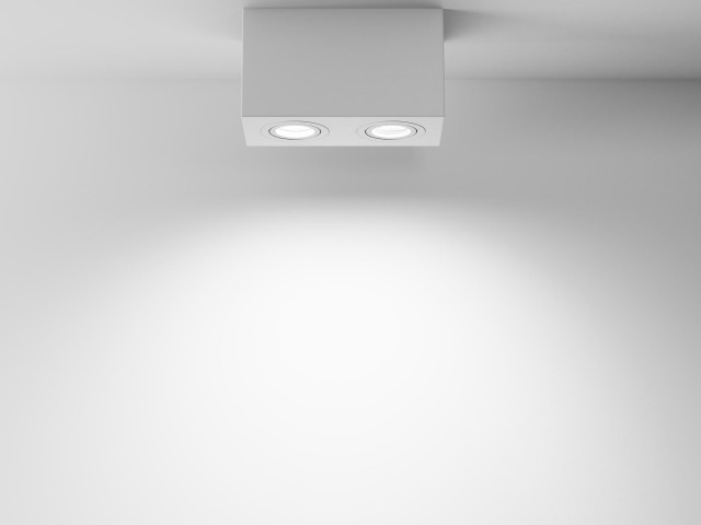 Потолочный светильник Technical C017CL-02W фото:11