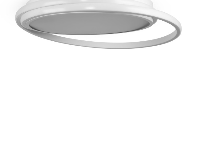 Потолочный светильник Freya FR10032CL-L98W фото:4