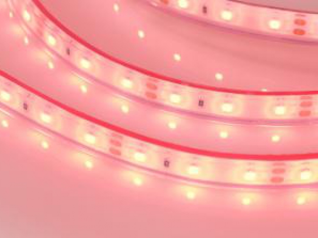 Лента герметичная RTW-PFS-A60-11mm 12V Red (4.8 W/m, IP68, 2835, 5m) (Arlight, -) фото:2