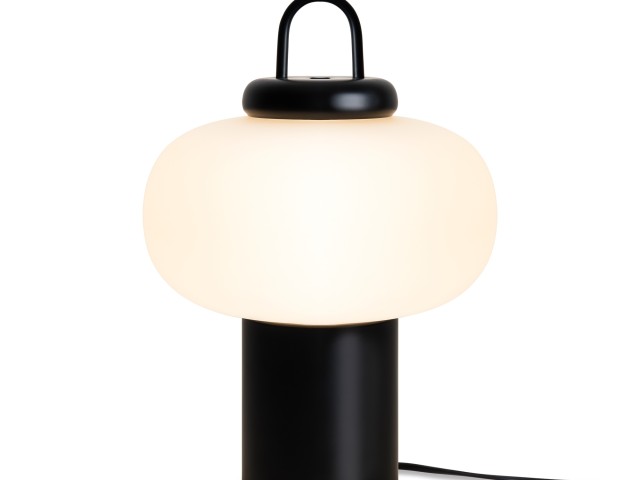 Настольный светильник Freya FR6175TL-L10B фото:1