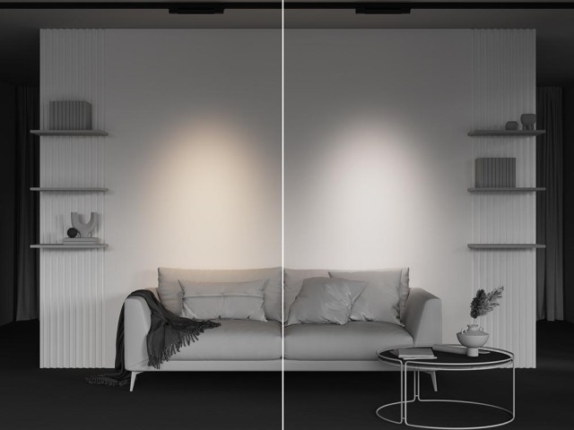 Трековый светильник Technical TR195-3-10W2.7K-M-B фото:1