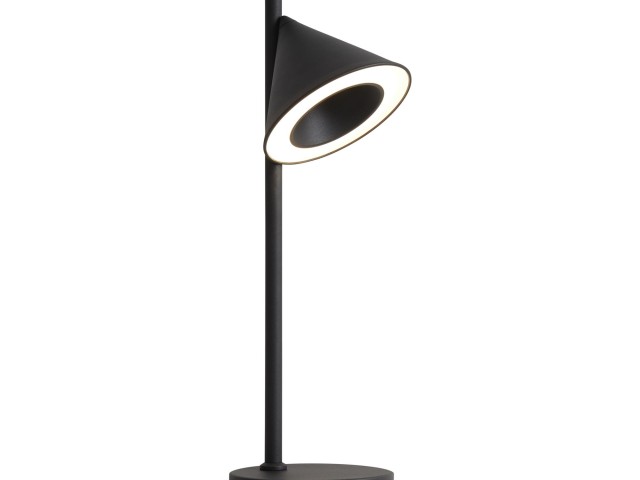 Настольный светильник Freya FR6141TL-L7B фото:2