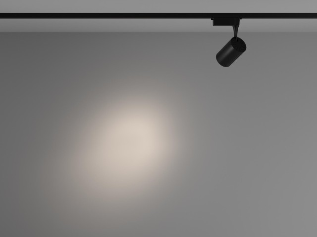 Трековый светильник Technical TR003-1-10W4K-S-B фото:8