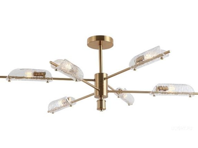 Потолочный светильник Freya FR5420CL-06BS фото:1
