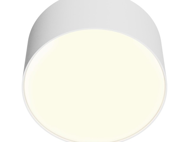Потолочный светильник Technical C032CL-12W3K-RD-W фото:17