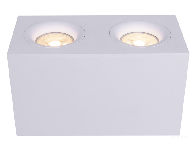 Потолочный светильник Technical C013CL-02W фото:2
